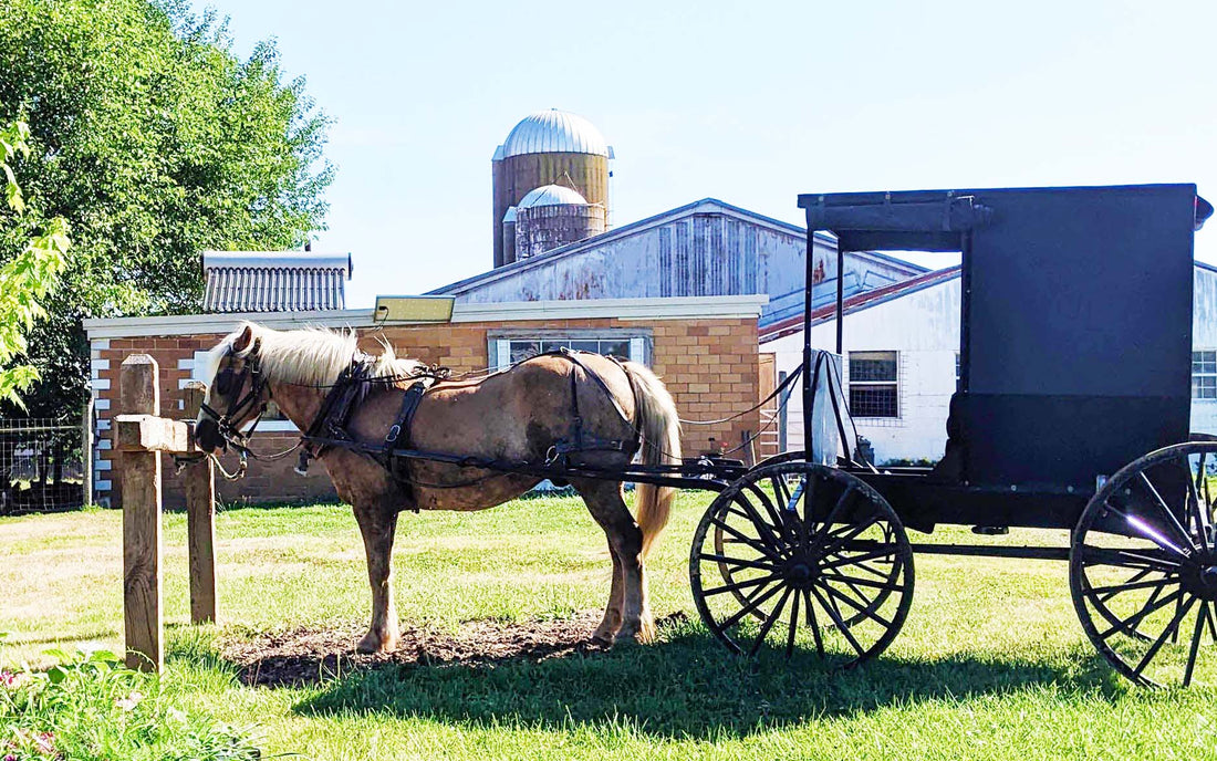 The Future of Custom Furniture and Why The Amish Are The Best Builders
