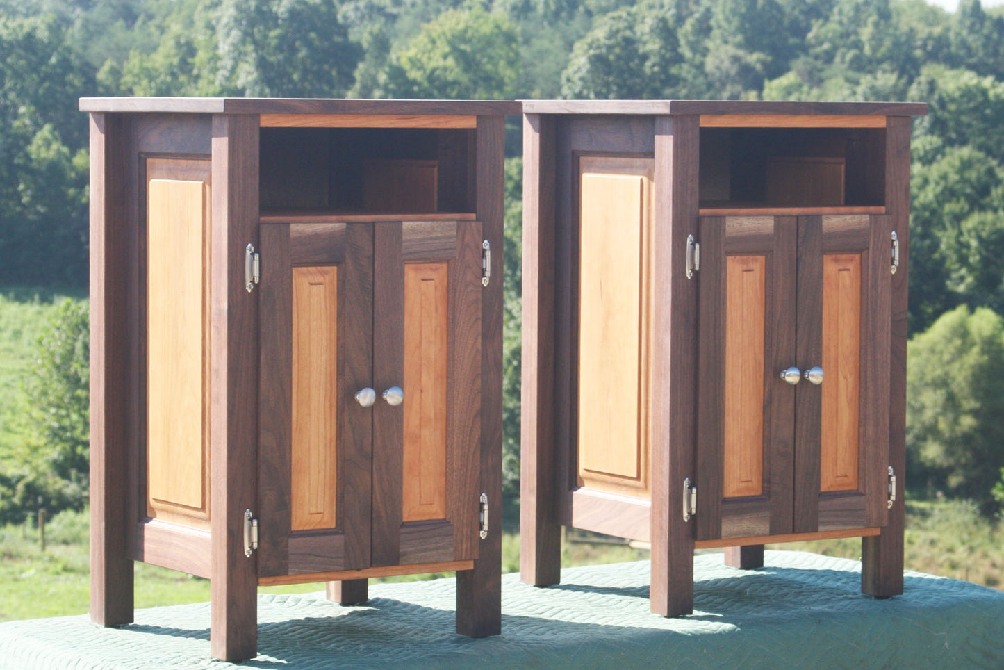 bedside cabinet with 1 shelf and raised panel doors in walnut wood