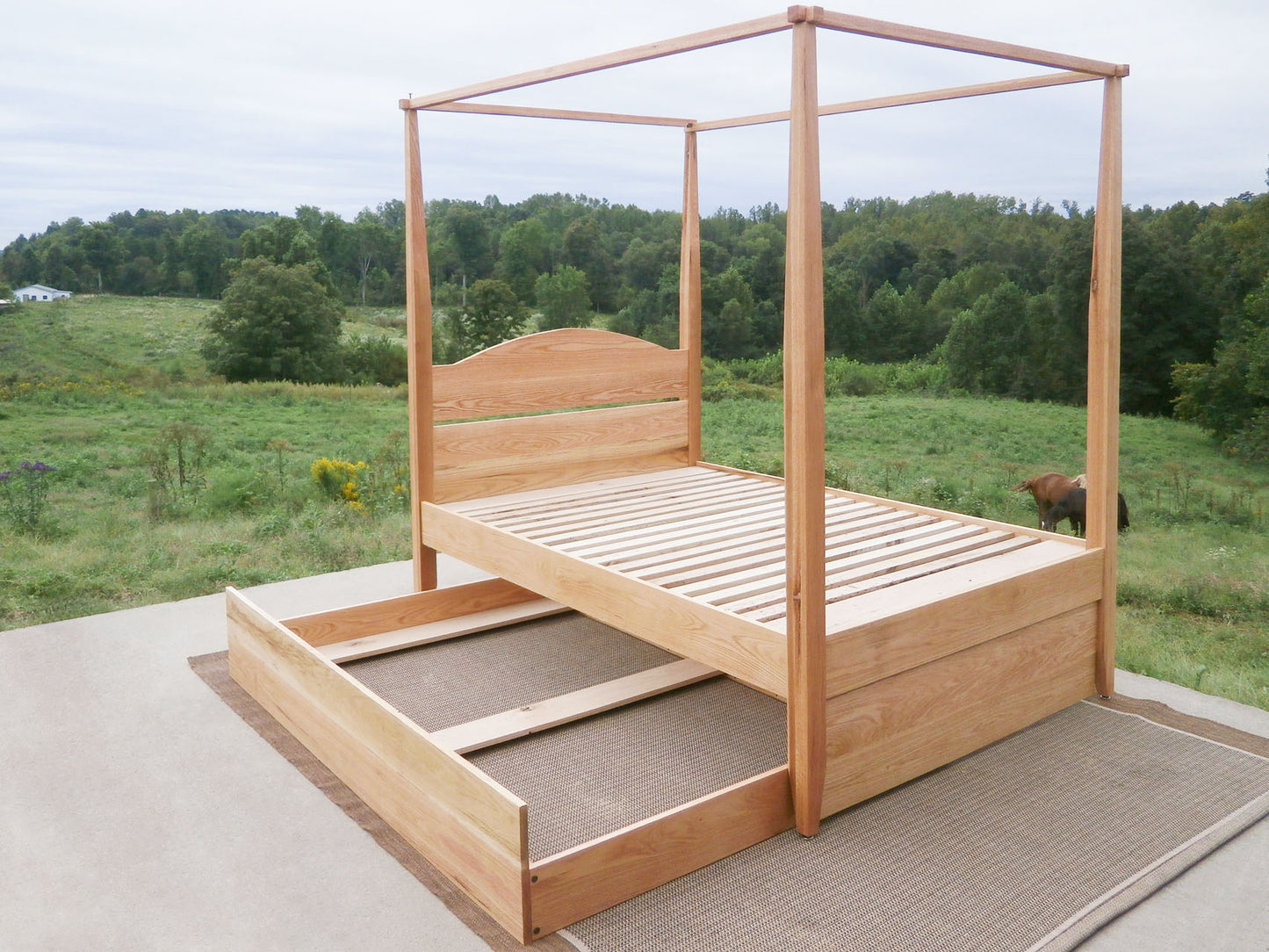 front angled view Canopy bed with trundle and arched headboard and trundle bed open