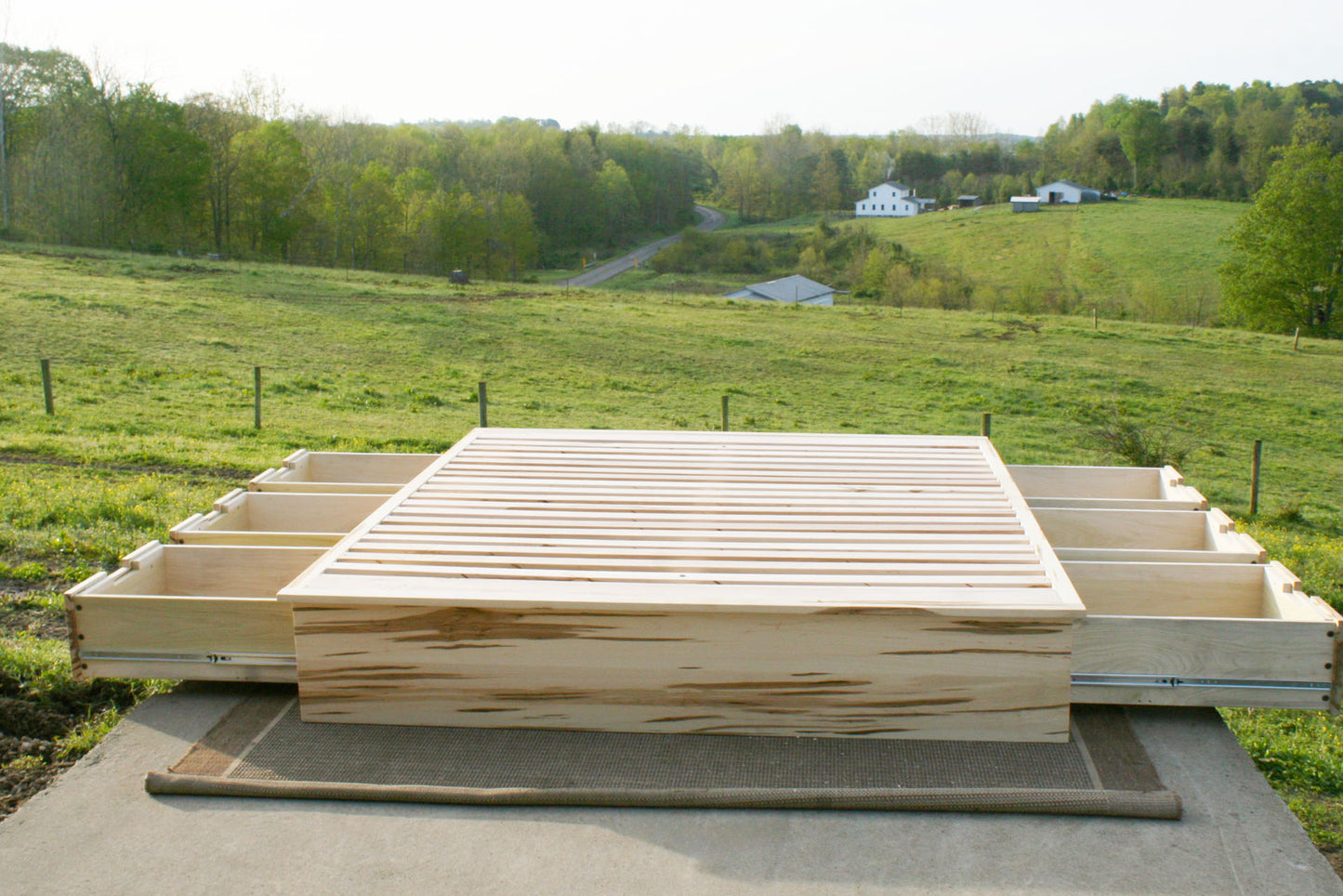 front view drawers out Platform storage bed wormy maple