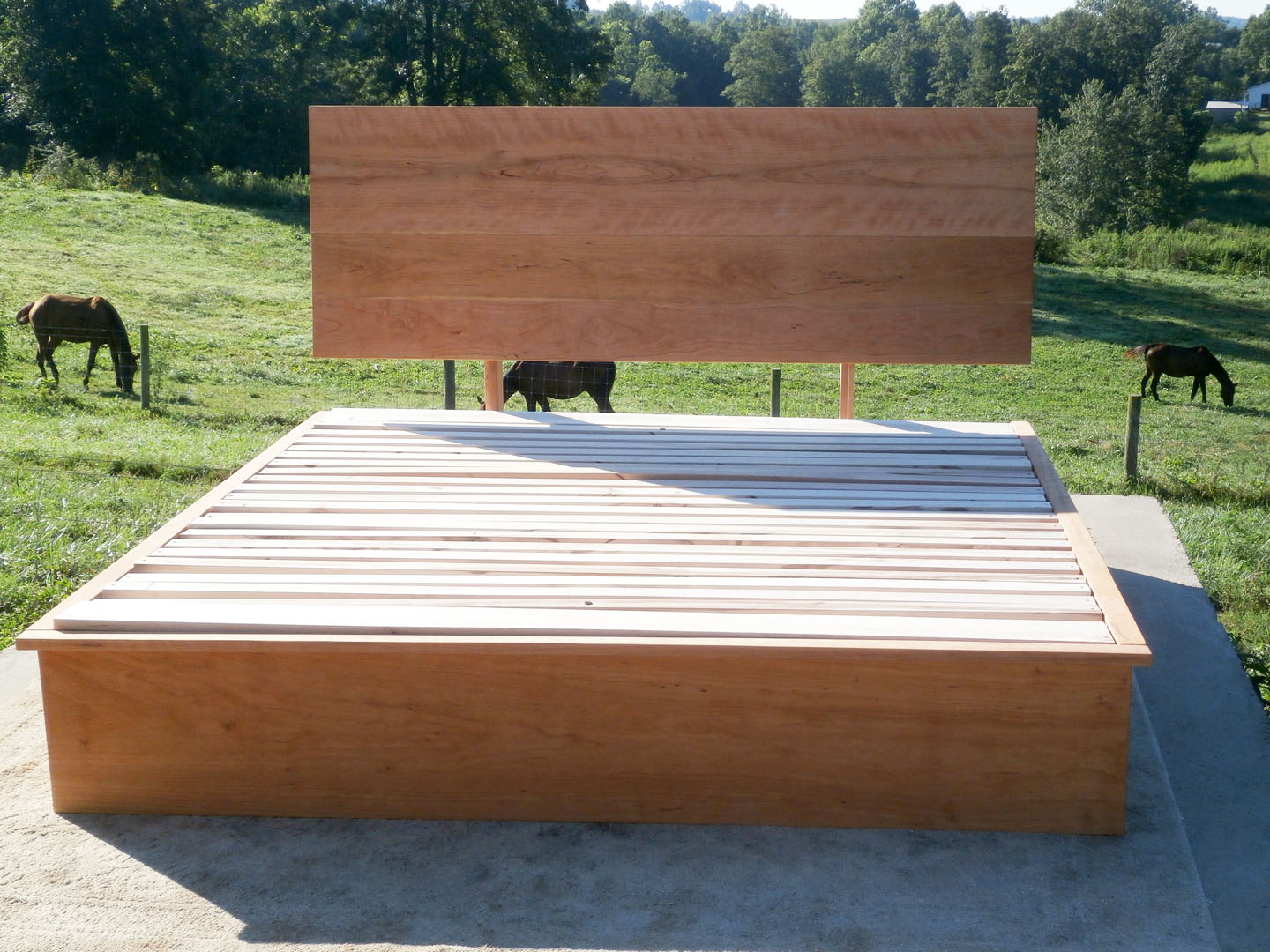 front view wood Storage Bed with 6 drawers and angled headboard