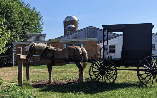 The Future of Custom Furniture and Why The Amish Are The Best Builders