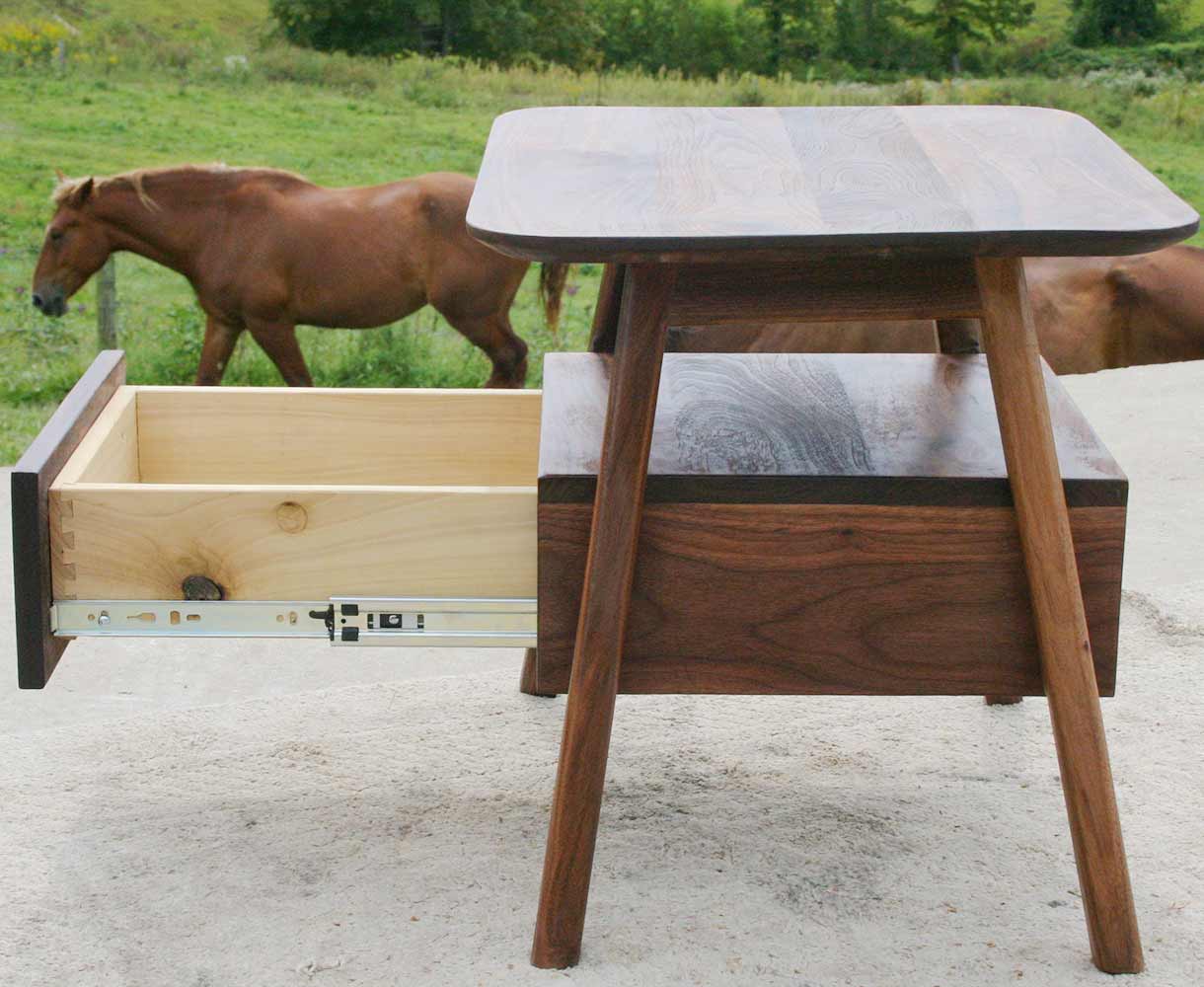 walnut colored horse!