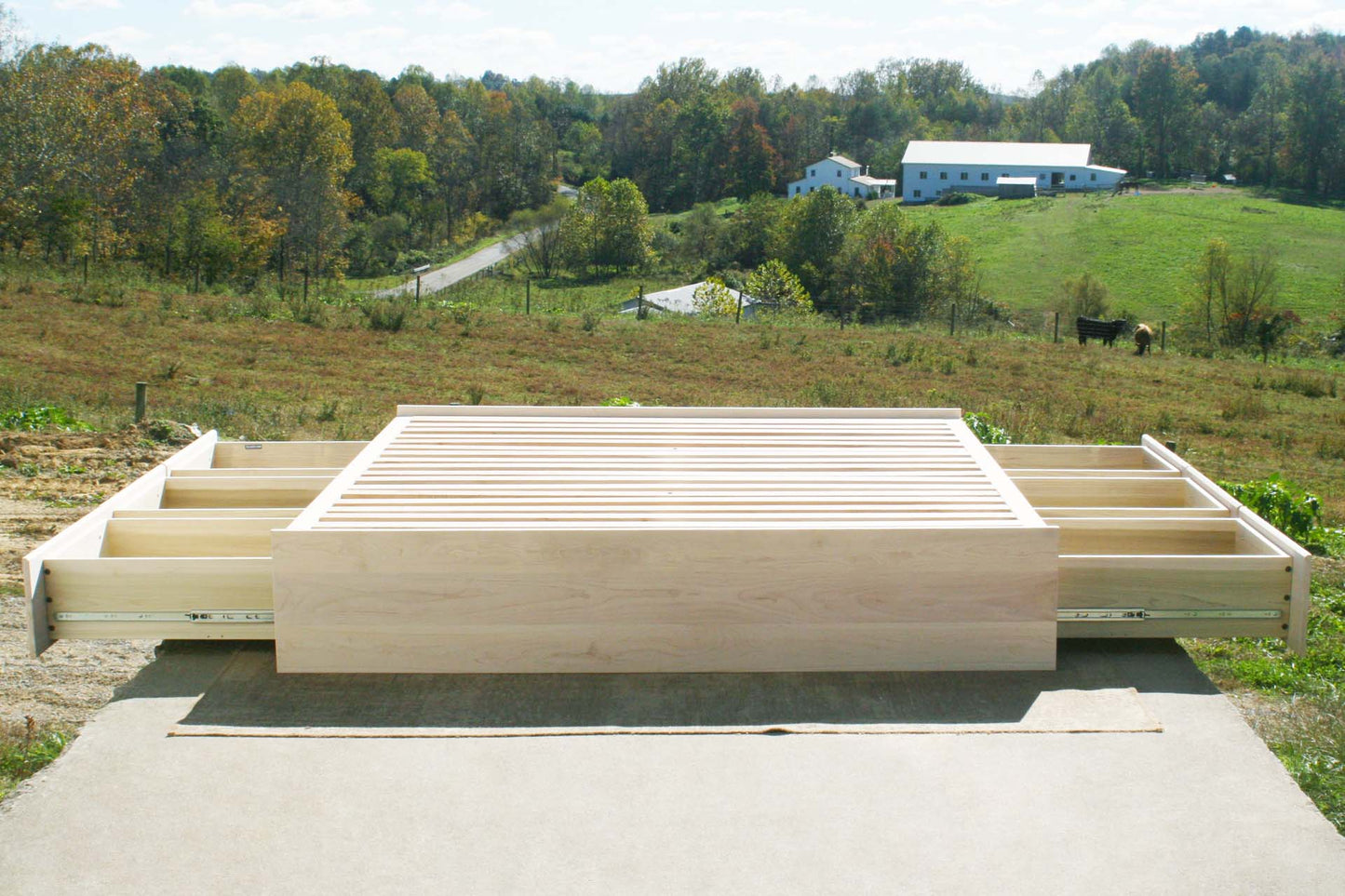 custom natural Platform bed with drawers drawers open front view