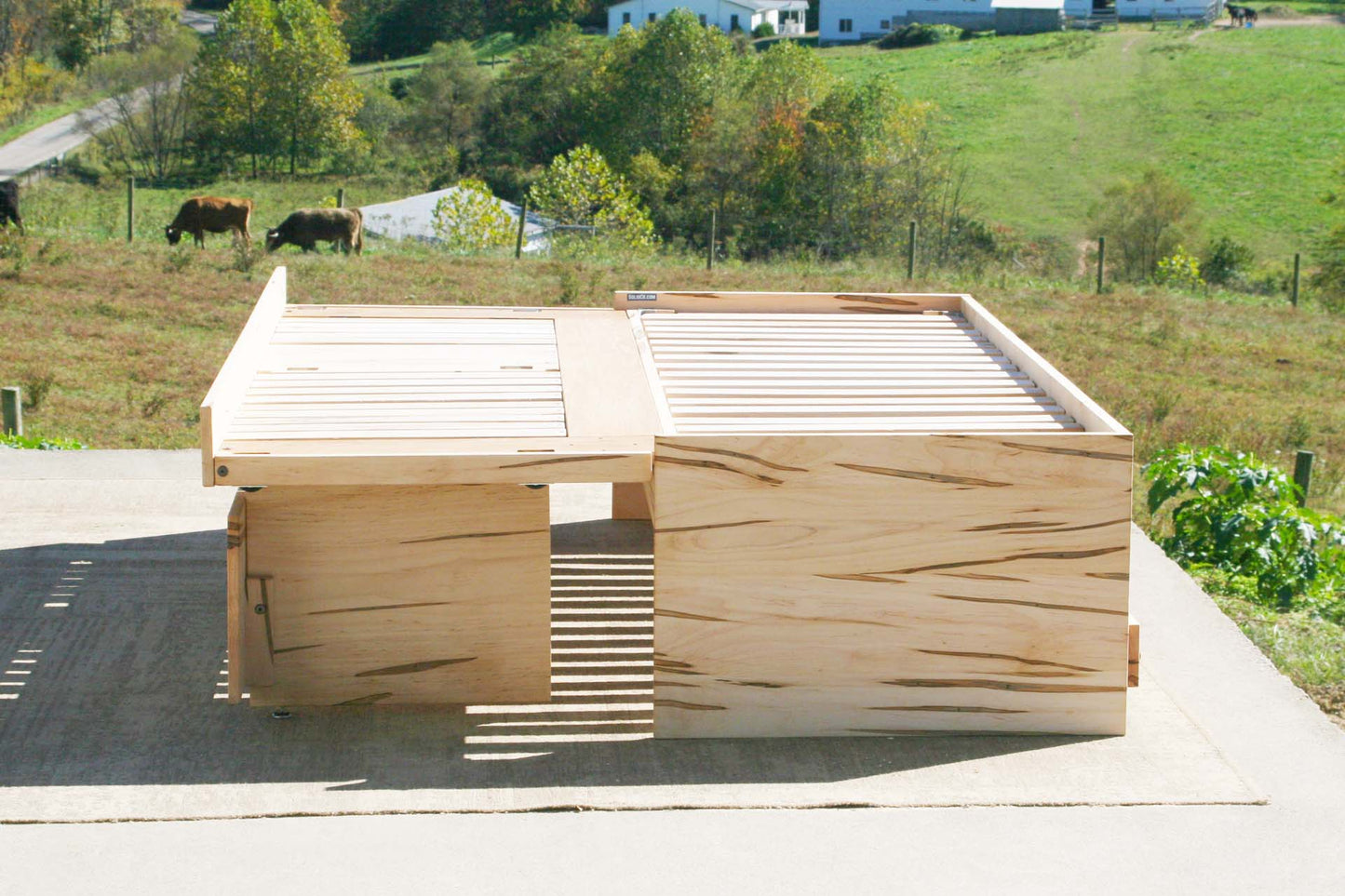 side view custom Daybed with trundle and backboard