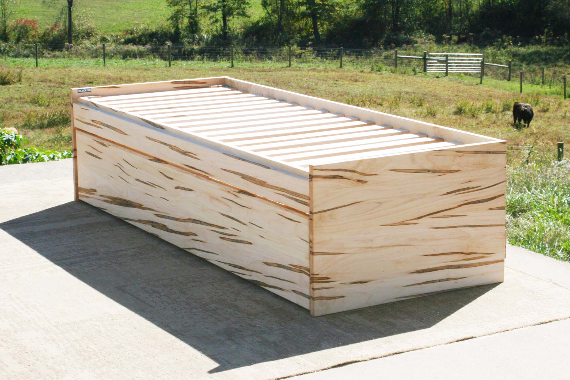 custom Daybed with trundle and backboard