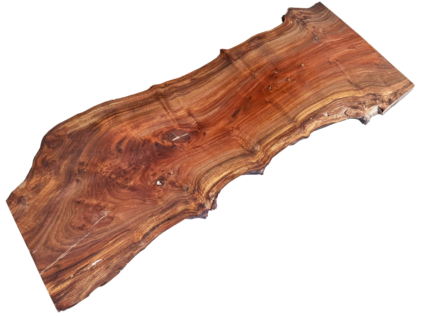Walnut Live Edge Slab - Sample.