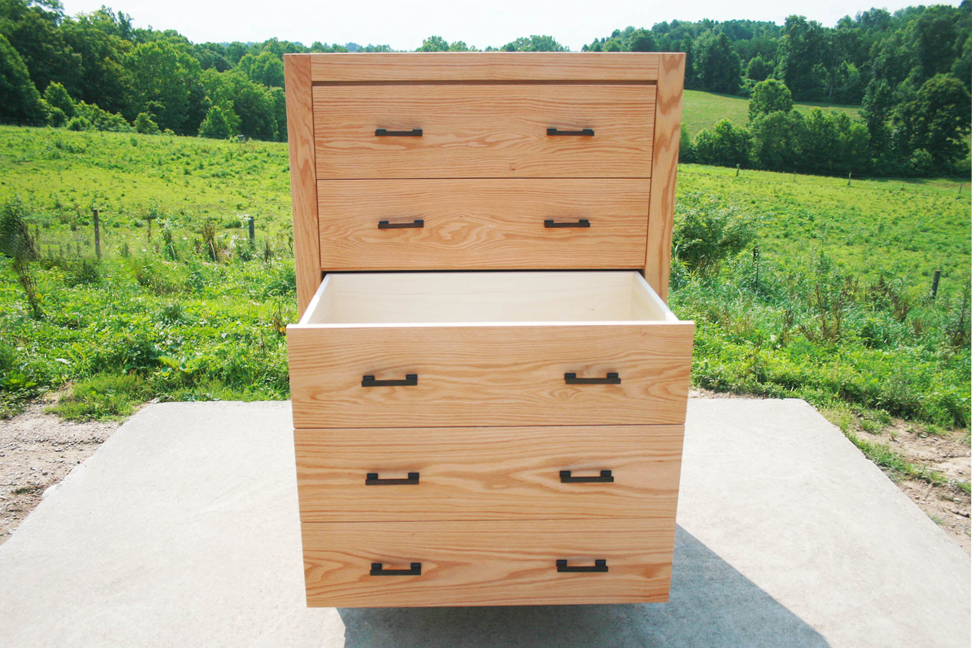 Ash dresser