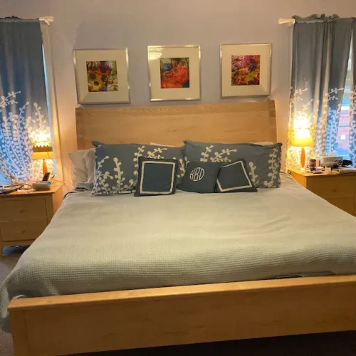 Sleigh Bed NcRnS01 photo review